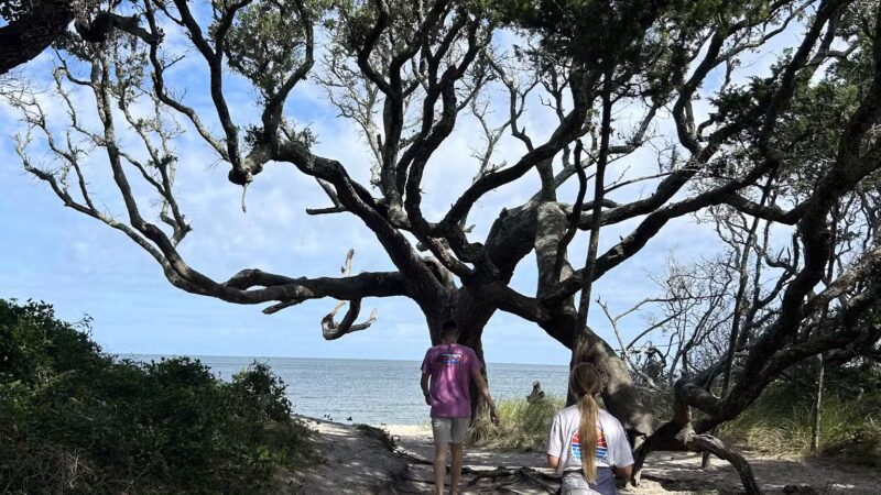 Springer's Point Preserve - Ocracoke, NC