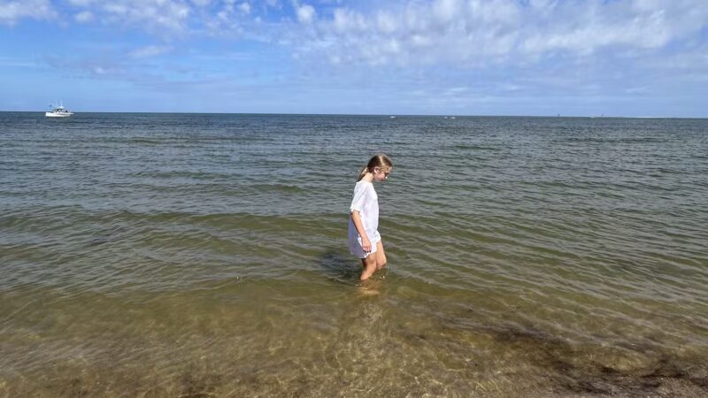 Springer's Point Preserve - Ocracoke, NC