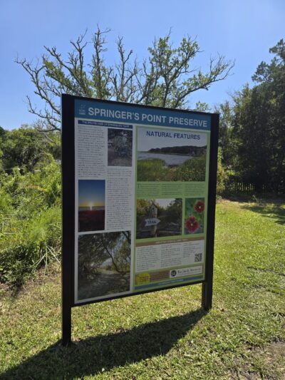 Springer's Point Preserve - Ocracoke, NC