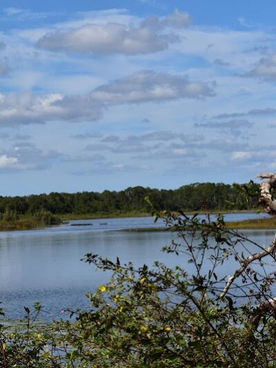 Lake Rogers Park - Odessa, FL