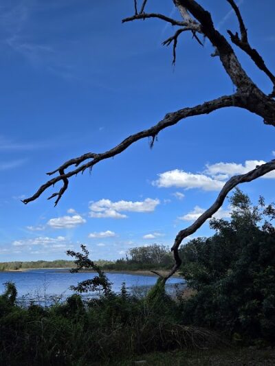 Lake Rogers Park - Odessa, FL