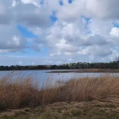 Lake Rogers Park - Odessa, FL