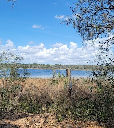 Lake Rogers Park - Odessa, FL