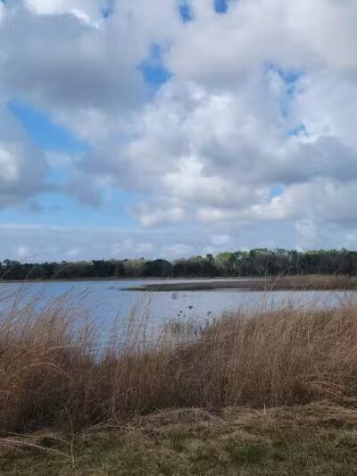 Lake Rogers Park - Odessa, FL