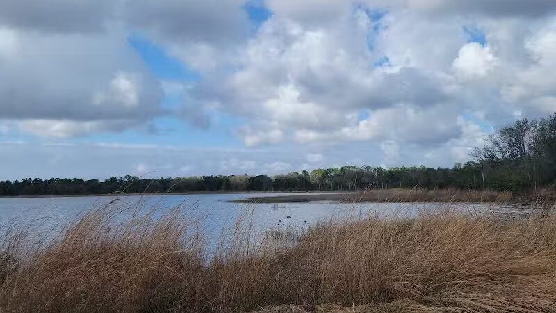 Lake Rogers Park - Odessa, FL