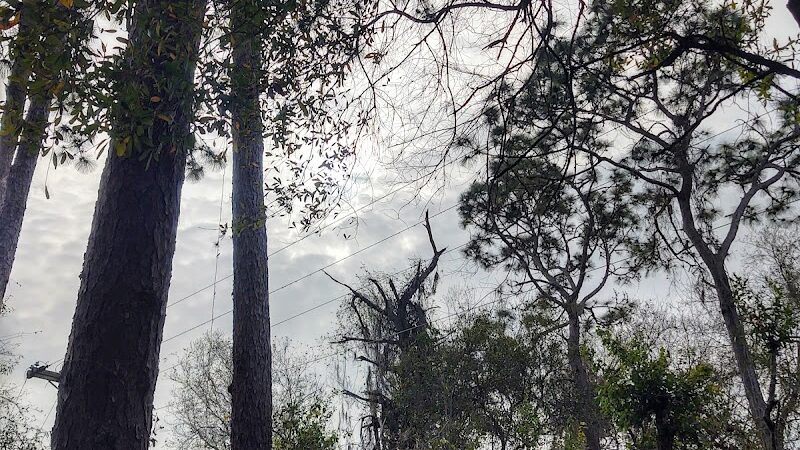 Odessa Community Park - Odessa, FL