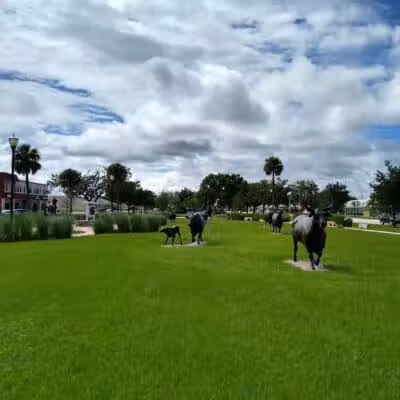 Cattleman's Square - Okeechobee, FL