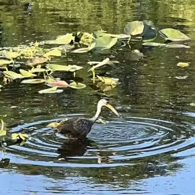 Centennial Park - Okeechobee, FL