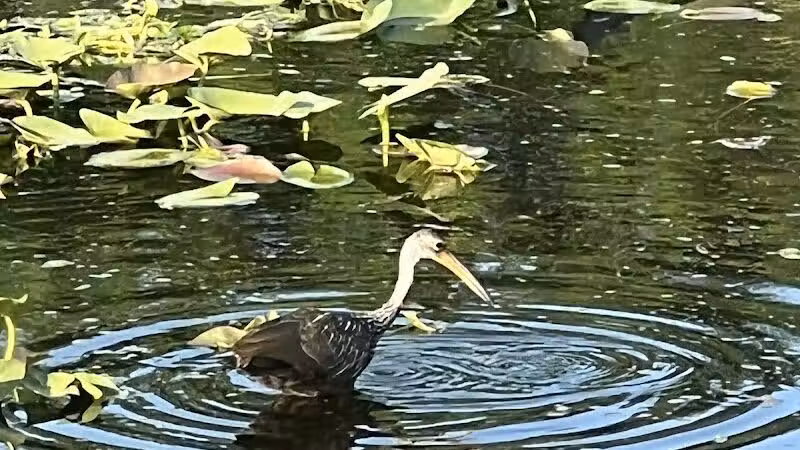 Centennial Park - Okeechobee, FL