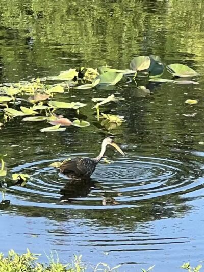 Centennial Park - Okeechobee, FL