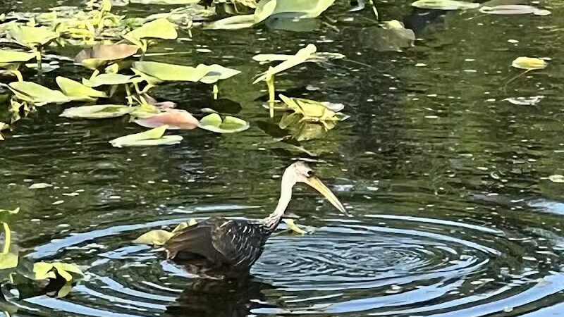 Centennial Park - Okeechobee, FL