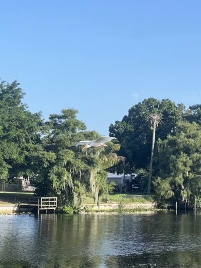 Centennial Park - Okeechobee, FL
