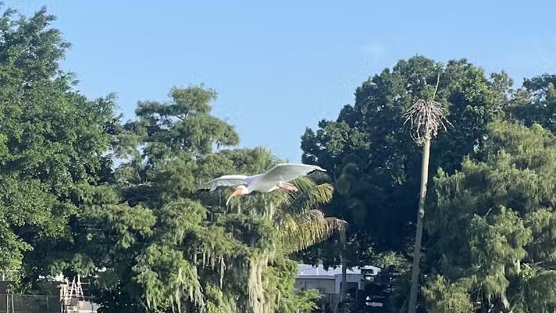 Centennial Park - Okeechobee, FL