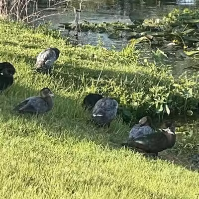 Centennial Park - Okeechobee, FL