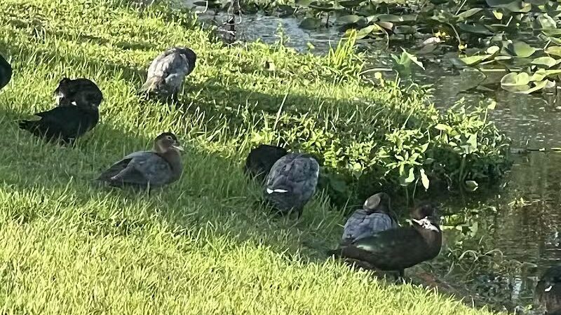 Centennial Park - Okeechobee, FL