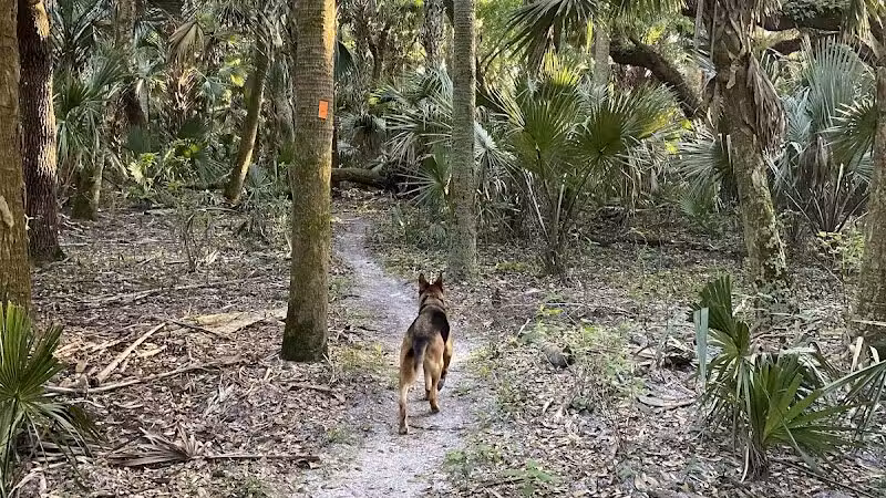 Grassy Island Equestrian and MTB Trail - Okeechobee, FL
