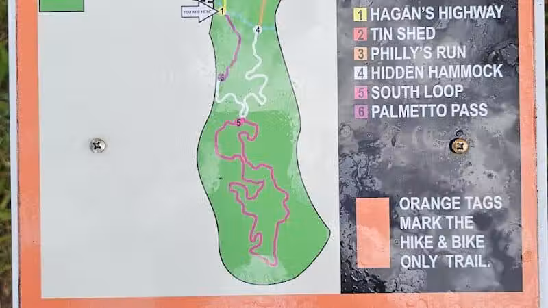 Grassy Island Equestrian and MTB Trail - Okeechobee, FL
