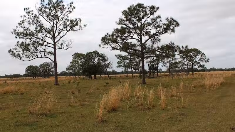 Grassy Island Equestrian and MTB Trail - Okeechobee, FL
