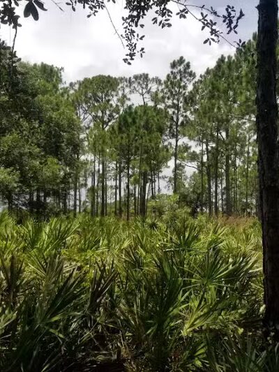 Grassy Island Equestrian and MTB Trail - Okeechobee, FL