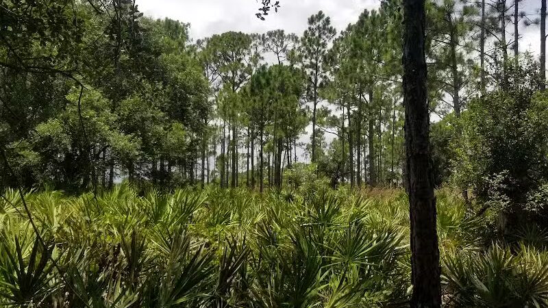 Grassy Island Equestrian and MTB Trail - Okeechobee, FL