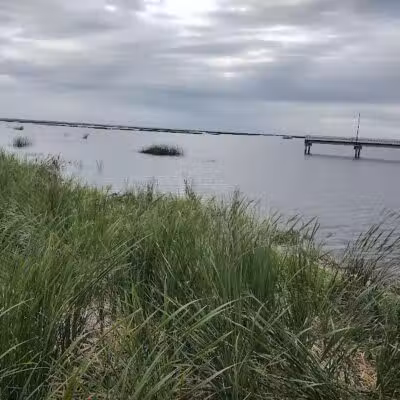Lake Okeechobee Park - Okeechobee, FL