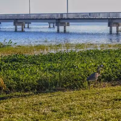 Lake Okeechobee Park - Okeechobee, FL