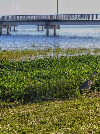 Lake Okeechobee Park - Okeechobee, FL