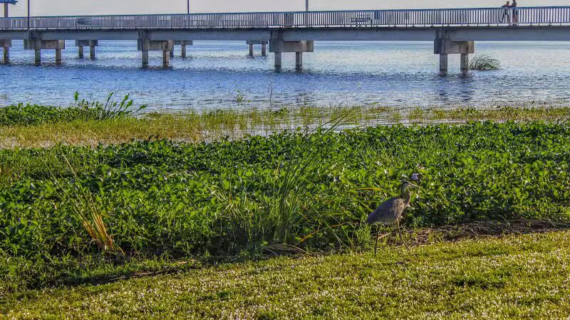 Lake Okeechobee Park - Okeechobee, FL