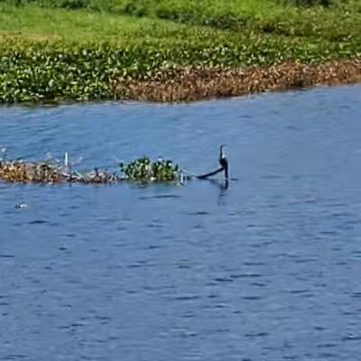 Lake Okeechobee Park - Okeechobee, FL