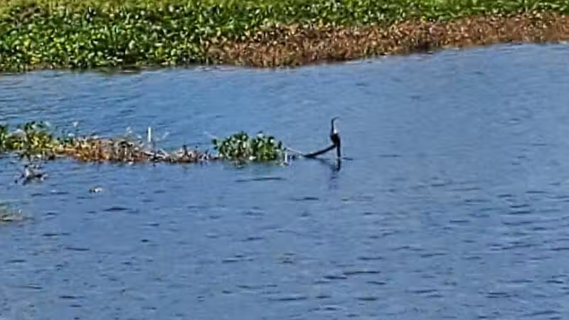 Lake Okeechobee Park - Okeechobee, FL