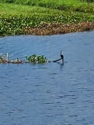 Lake Okeechobee Park - Okeechobee, FL