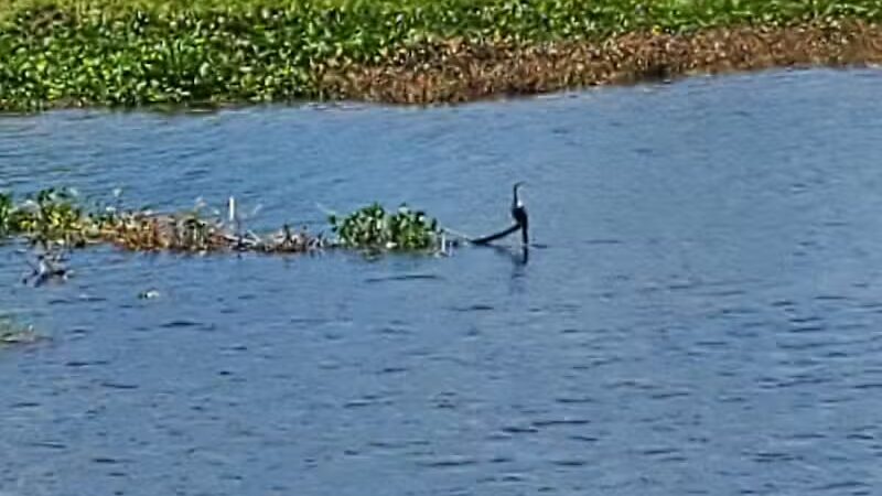 Lake Okeechobee Park - Okeechobee, FL