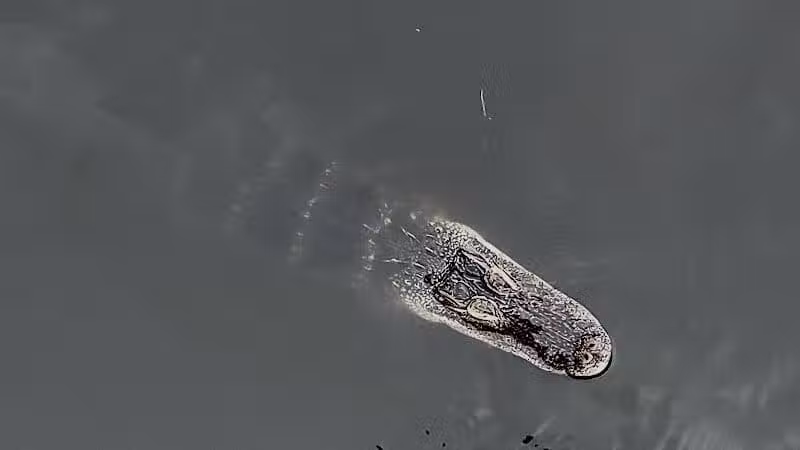 Lake Okeechobee Park - Okeechobee, FL