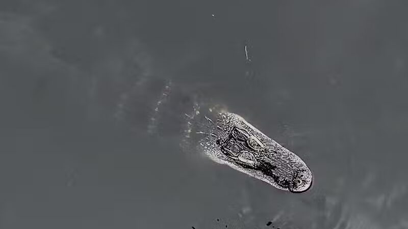 Lake Okeechobee Park - Okeechobee, FL