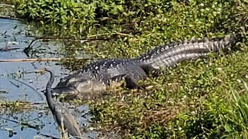 Lakeside Ranch Stormwater Treatment Area, South Entrance - Okeechobee, FL
