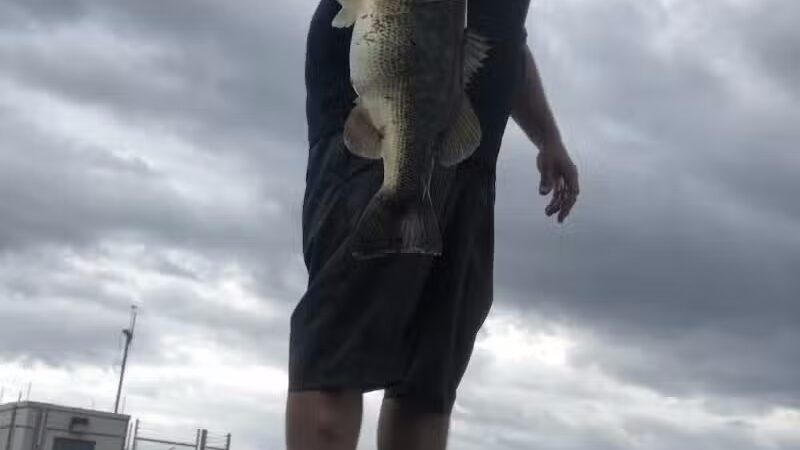 Lakeside Ranch Stormwater Treatment Area, South Entrance - Okeechobee, FL