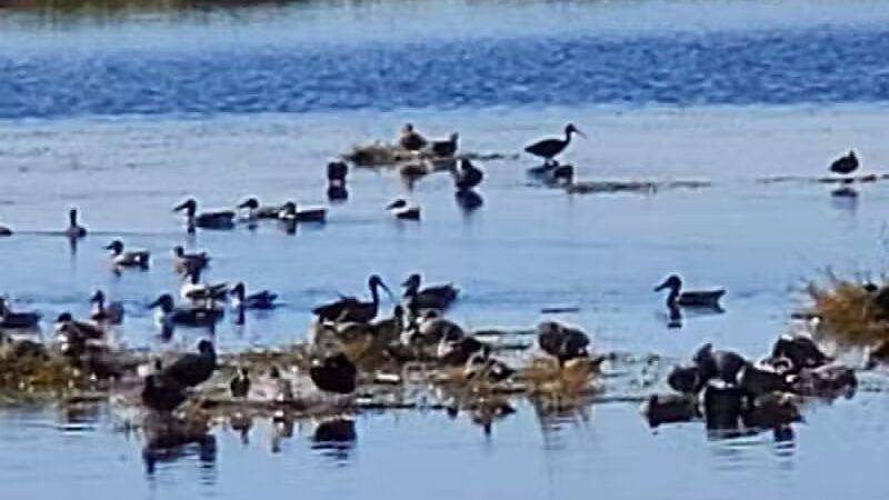 Lakeside Ranch Stormwater Treatment Area, South Entrance - Okeechobee, FL