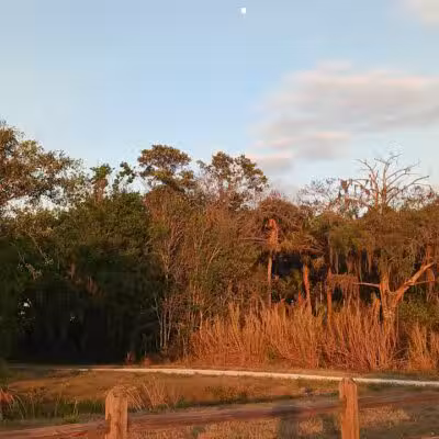 Lakeside Ranch Stormwater Treatment Area, South Entrance - Okeechobee, FL