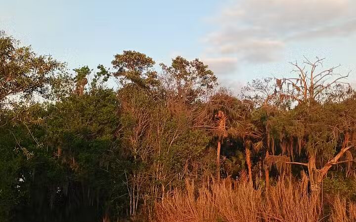 Lakeside Ranch Stormwater Treatment Area, South Entrance - Okeechobee, FL