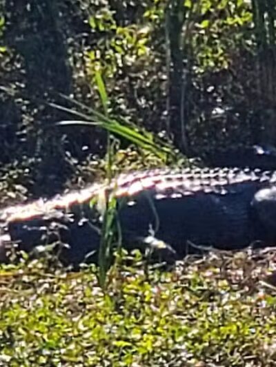 Lakeside Ranch Stormwater Treatment Area, South Entrance - Okeechobee, FL