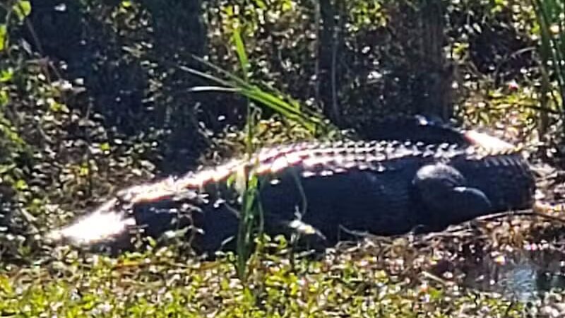 Lakeside Ranch Stormwater Treatment Area, South Entrance - Okeechobee, FL