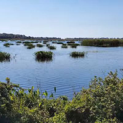 Lakeside Ranch Stormwater Treatment Area, South Entrance - Okeechobee, FL
