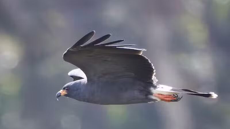 Lakeside Ranch Stormwater Treatment Area, South Entrance - Okeechobee, FL