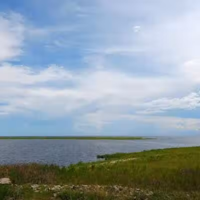 Okeechobee KOA Resort - Okeechobee, FL