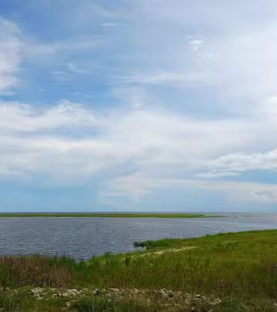 Okeechobee KOA Resort - Okeechobee, FL