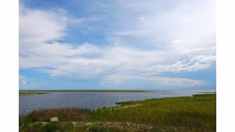 Okeechobee KOA Resort - Okeechobee, FL