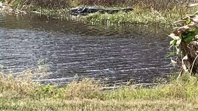 Taylor Creek Stormwater Treatment Area/Nature Trail/Wildlife Preservation Area - Okeechobee, FL