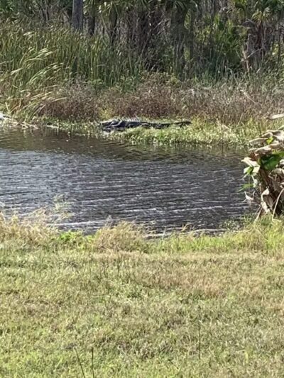 Taylor Creek Stormwater Treatment Area/Nature Trail/Wildlife Preservation Area - Okeechobee, FL