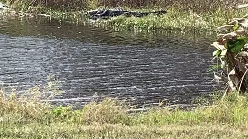 Taylor Creek Stormwater Treatment Area/Nature Trail/Wildlife Preservation Area - Okeechobee, FL
