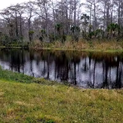 Taylor Creek Stormwater Treatment Area/Nature Trail/Wildlife Preservation Area - Okeechobee, FL